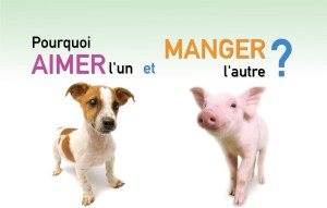 Campagne publicitaire de l'Association végétarienne de Montréal et de Mercy for Animals Canada.