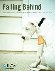 Falling-behind-2008-an-international-comparison-of-Canadas-animal-cruelty-legislation
