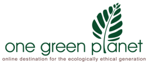 One-Green-Planet-Masthead-300x131
