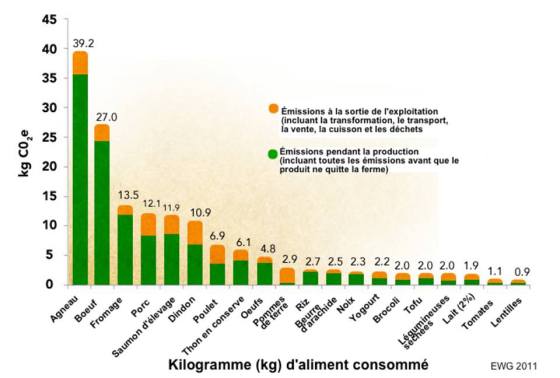 pollution-par-aliments