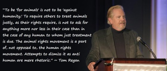 Tom ergan quote