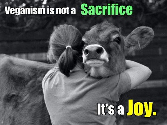 « Le véganisme n'est pas un sacrifice, c'est une joie! » Mais si c'était plus difficile dans certains cas?