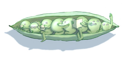 © Leif Parsons. Image tirée sur un article du New York Times.