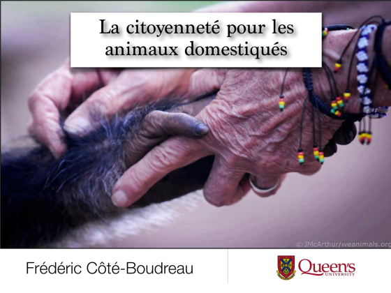 Diapositive - La citoyenneté pour les animaux domestiqués