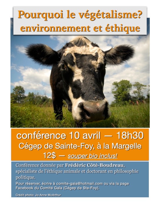 Affiche Cégep de Ste-Foy2