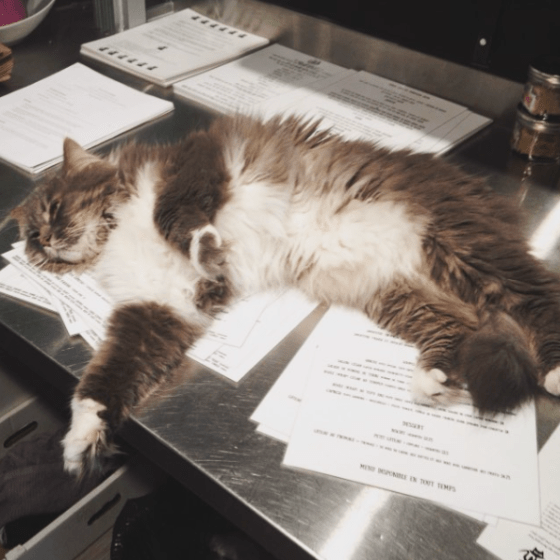 Certains contribuent plus que d'autres.