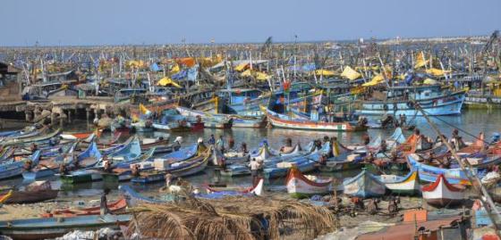 Port de pêche en Inde. © S.S. Kumar