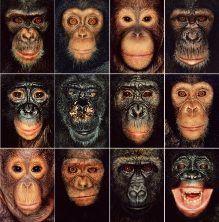 animal-politicsafb-voor-pag-56