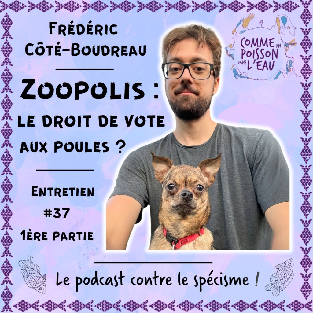 image de couverture du premier épisode qui s'intitule Zoopolis le droit de vote aux poules, pour le balado Comme un poisson dans l'eau